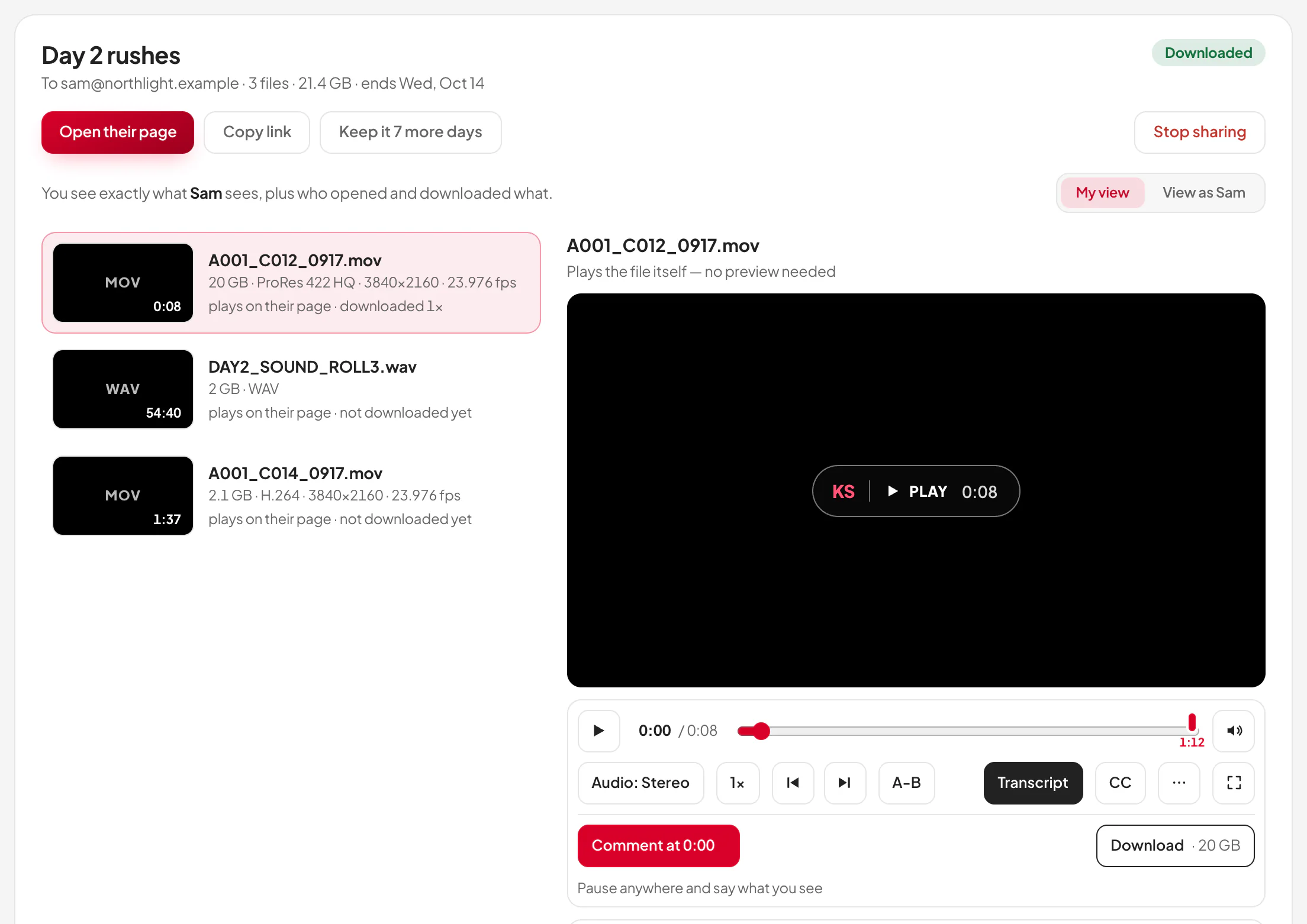A sent transfer in the Media Center: Open their page, Copy link and Keep it 7 more days, My view or View as the recipient, the files with what was downloaded, and the same player the recipient gets